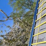 couvreur houilles 78