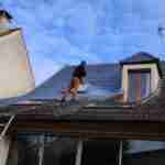 nettoyage toiture sartrouville